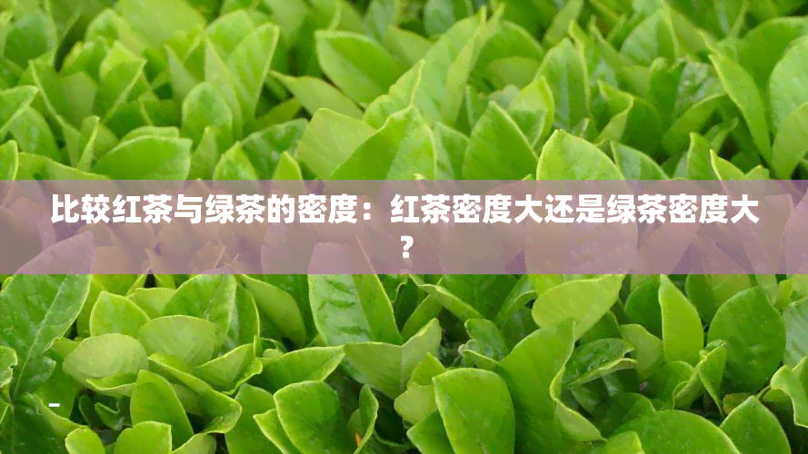 比较红茶与绿茶的密度：红茶密度大还是绿茶密度大？