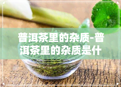 普洱茶里的杂质-普洱茶里的杂质是什么