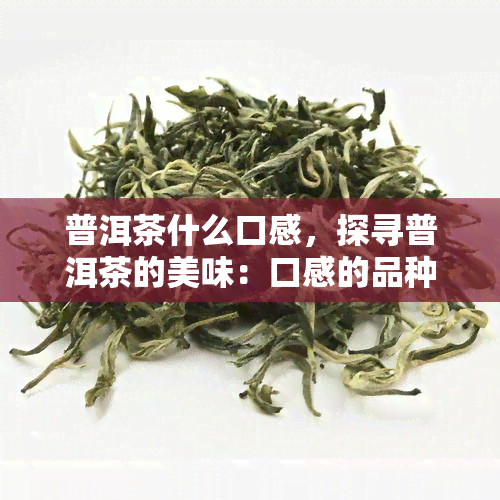 普洱茶什么口感，探寻普洱茶的美味：口感的品种是什么？