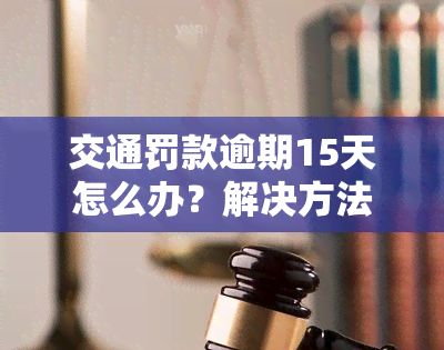 交通罚款逾期15天怎么办？解决方法全攻略