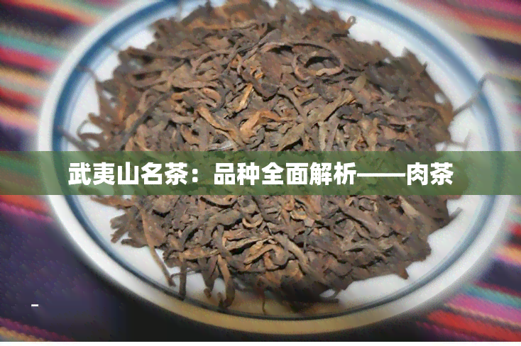 武夷山名茶：品种全面解析——肉茶