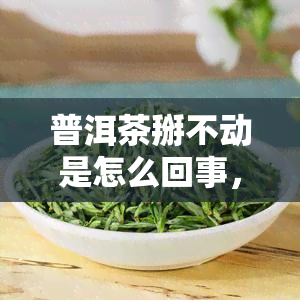 普洱茶掰不动是怎么回事，普洱茶为什么掰不动？原因解析