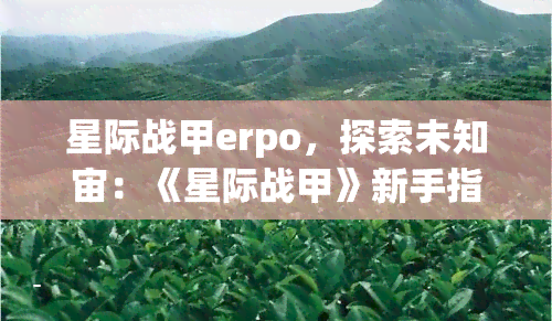 星际战甲erpo，探索未知宙：《星际战甲》新手指南之Erpo解析