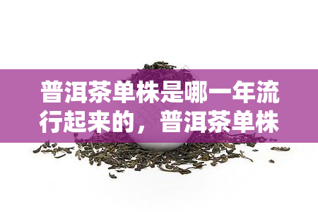 普洱茶单株是哪一年流行起来的，普洱茶单株：流行年份及其背后的故事