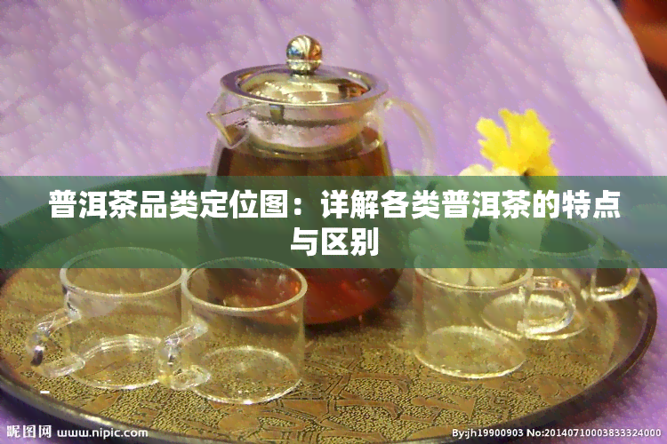 普洱茶品类定位图：详解各类普洱茶的特点与区别