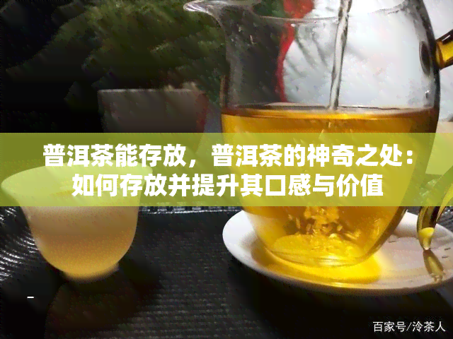 普洱茶能存放，普洱茶的神奇之处：如何存放并提升其口感与价值