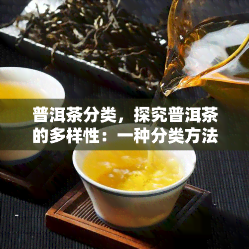 普洱茶分类，探究普洱茶的多样性：一种分类方法