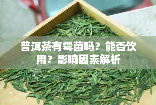 普洱茶有霉菌吗？能否饮用？影响因素解析