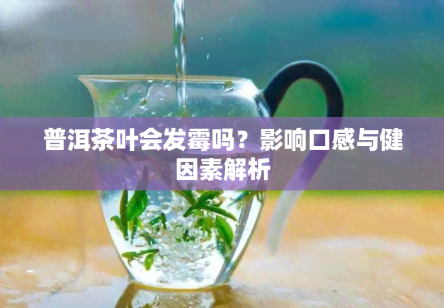 普洱茶叶会发霉吗？影响口感与健因素解析