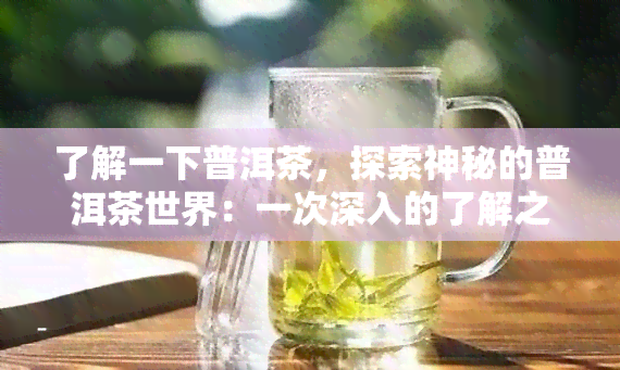 了解一下普洱茶，探索神秘的普洱茶世界：一次深入的了解之旅