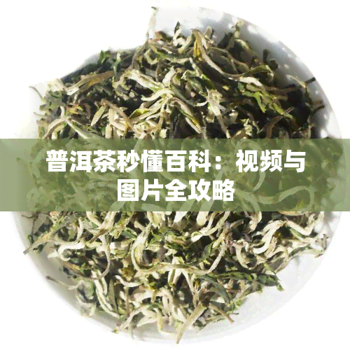 普洱茶秒懂百科：视频与图片全攻略