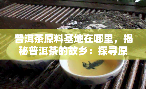 普洱茶原料基地在哪里，揭秘普洱茶的故乡：探寻原料基地的位置