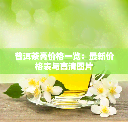 普洱茶膏价格一览：最新价格表与高清图片