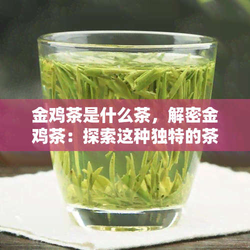 金鸡茶是什么茶，解密金鸡茶：探索这种独特的茶叶品种