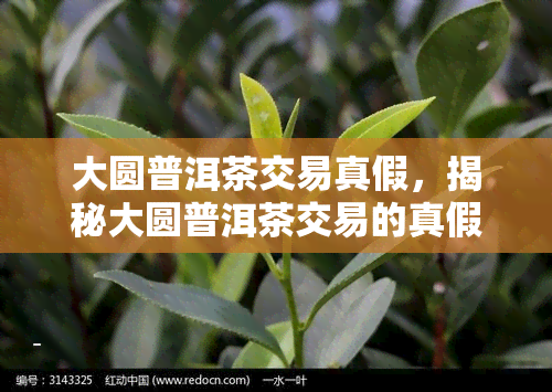 大圆普洱茶交易真假，揭秘大圆普洱茶交易的真假：你需要知道的一切