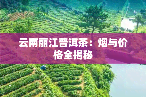 云南丽江普洱茶：与价格全揭秘