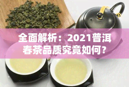 全面解析：2021普洱春茶品质究竟如何？