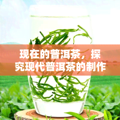 现在的普洱茶，探究现代普洱茶的制作工艺与品质特点