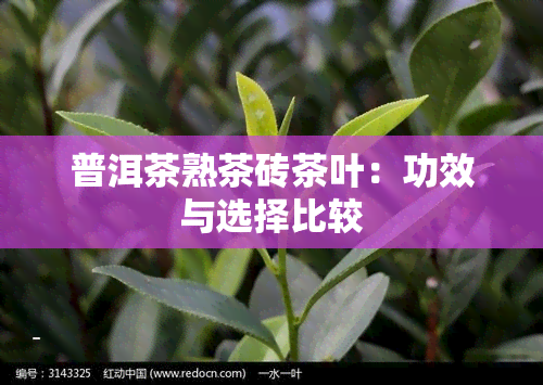 普洱茶熟茶砖茶叶：功效与选择比较