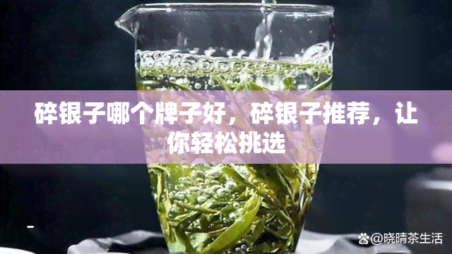 碎银子哪个牌子好，碎银子推荐，让你轻松挑选