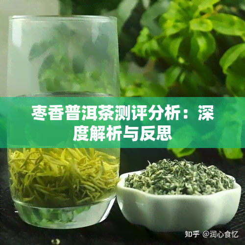 枣香普洱茶测评分析：深度解析与反思