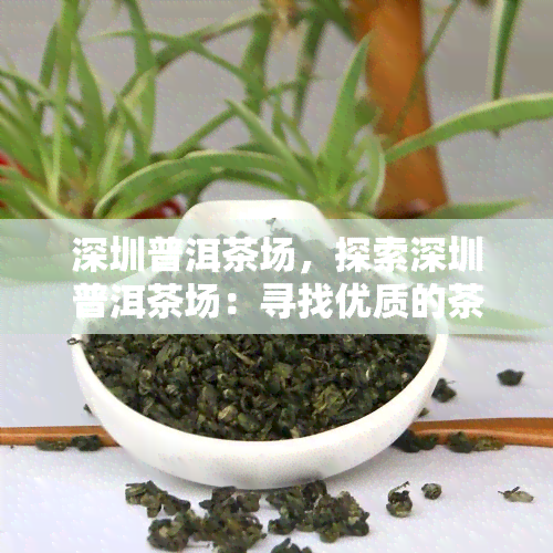 深圳普洱茶场，探索深圳普洱茶场：寻找优质的茶叶和独特的茶文化体验