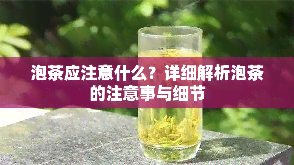 泡茶应注意什么？详细解析泡茶的注意事与细节