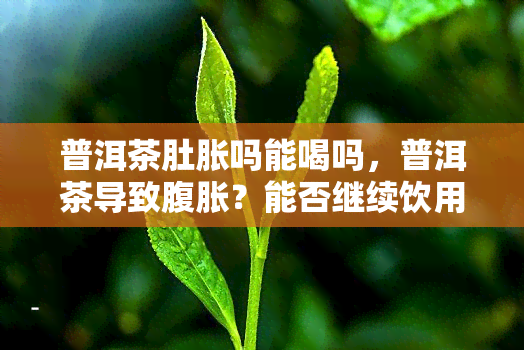 普洱茶肚胀吗能喝吗，普洱茶导致腹胀？能否继续饮用？