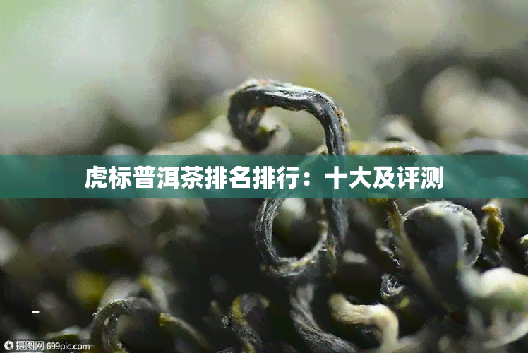 虎标普洱茶排名排行：十大及评测