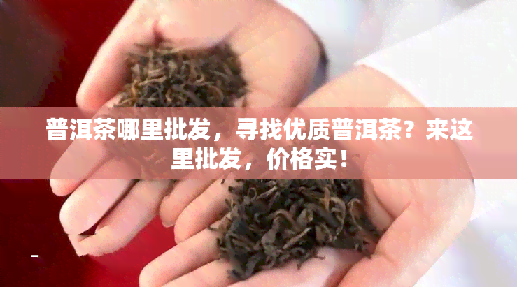 普洱茶哪里批发，寻找优质普洱茶？来这里批发，价格实！