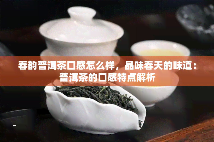 春韵普洱茶口感怎么样，品味春天的味道：普洱茶的口感特点解析