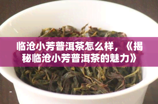 临沧小芳普洱茶怎么样，《揭秘临沧小芳普洱茶的魅力》