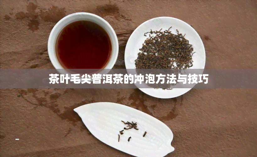 茶叶毛尖普洱茶的冲泡方法与技巧