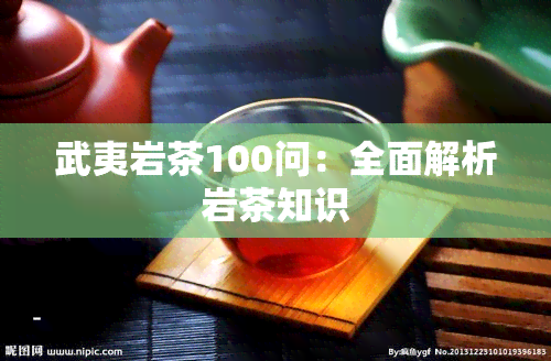 武夷岩茶100问：全面解析岩茶知识