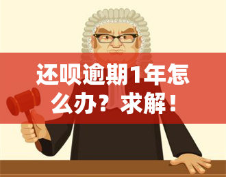 还呗逾期1年怎么办？求解！