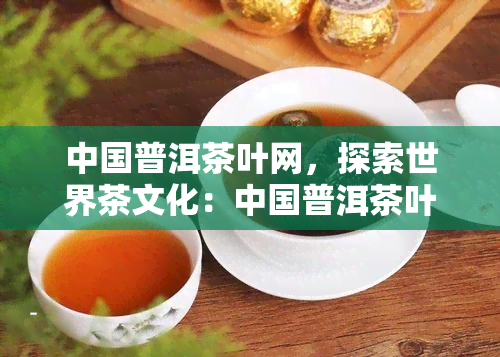 中国普洱茶叶网，探索世界茶文化：中国普洱茶叶网带你走进普洱茶的世界