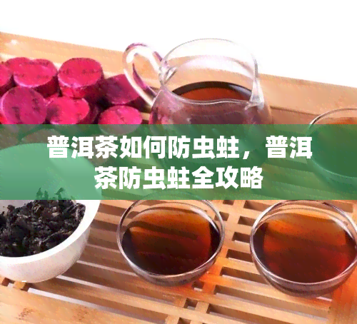 普洱茶如何防虫蛀，普洱茶防虫蛀全攻略