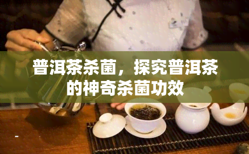 普洱茶杀菌，探究普洱茶的神奇杀菌功效