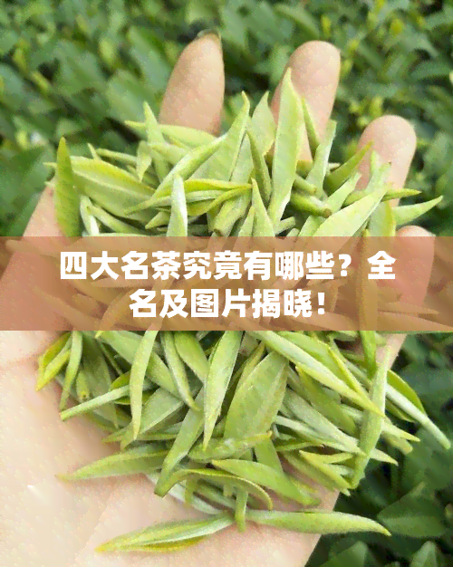 四大名茶究竟有哪些？全名及图片揭晓！