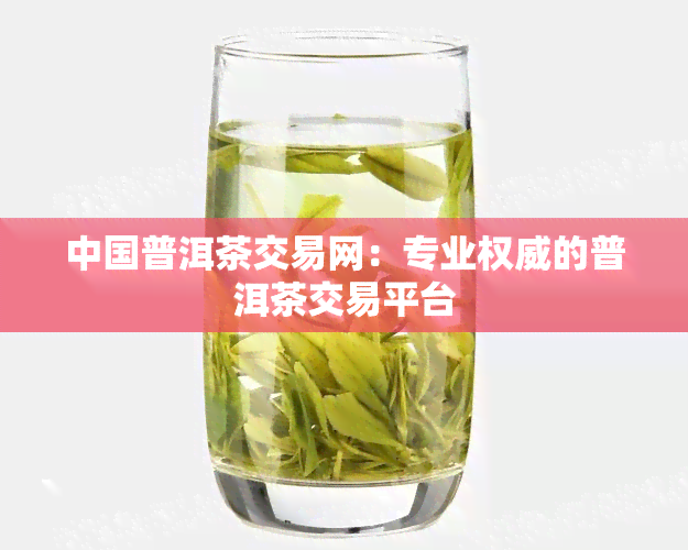 中国普洱茶交易网：专业权威的普洱茶交易平台