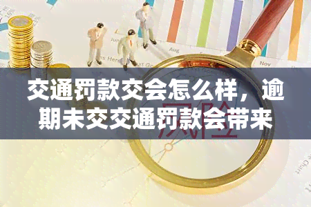 交通罚款交会怎么样，逾期未交交通罚款会带来哪些后果？