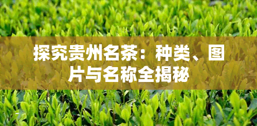 探究贵州名茶：种类、图片与名称全揭秘