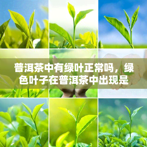 普洱茶中有绿叶正常吗，绿色叶子在普洱茶中出现是正常的吗？
