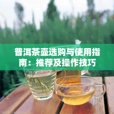 普洱茶壶选购与使用指南：推荐及操作技巧