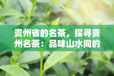 贵州省的名茶，探寻贵州名茶：品味山水间的独特韵味