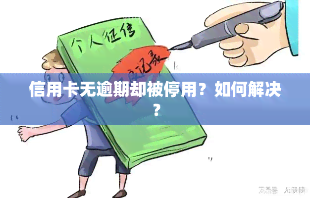 信用卡无逾期却被停用？如何解决？