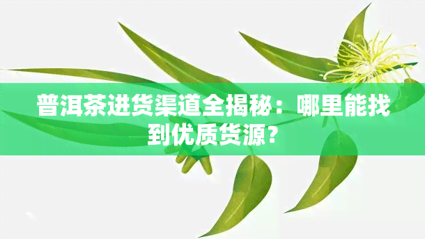 普洱茶进货渠道全揭秘：哪里能找到优质货源？