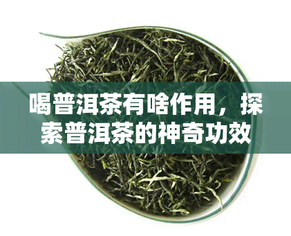 喝普洱茶有啥作用，探索普洱茶的神奇功效，了解一下常喝普洱茶的好处吧！