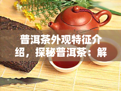 普洱茶外观特征介绍，探秘普洱茶：解读其独特的外观特征