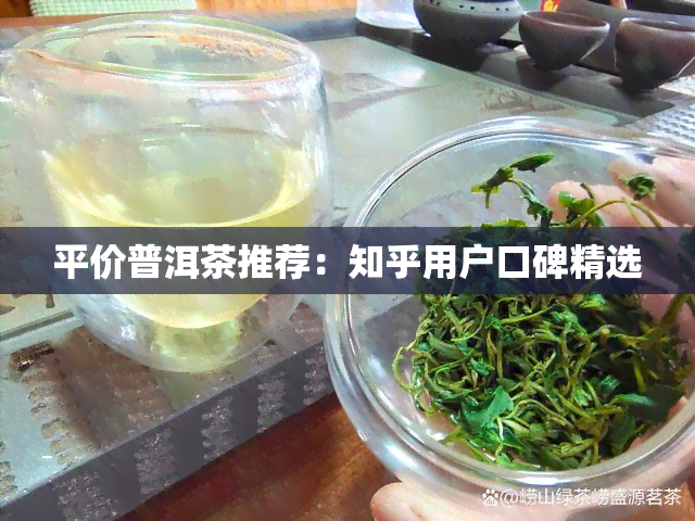 平价普洱茶推荐：知乎用户口碑精选